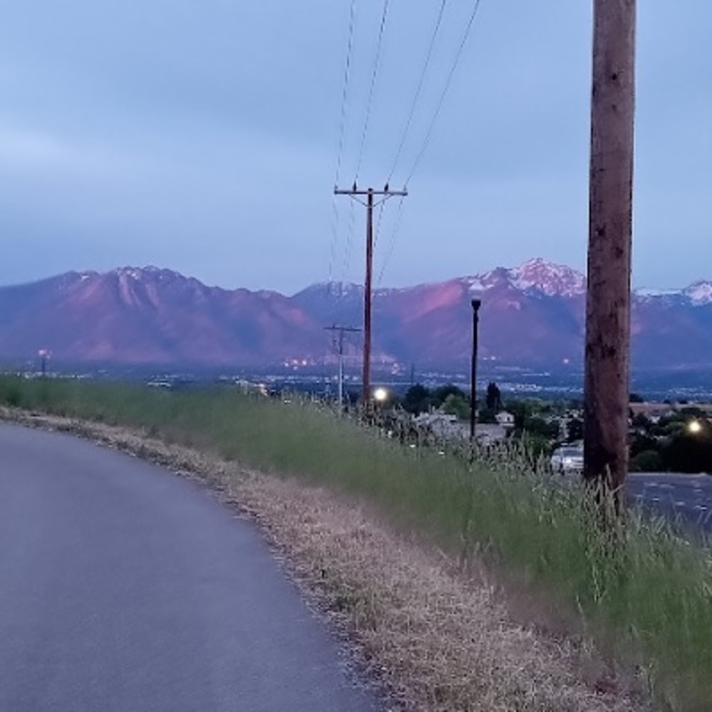 Meet your Posher, Quinn